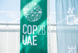 مؤتمر الأطراف 28